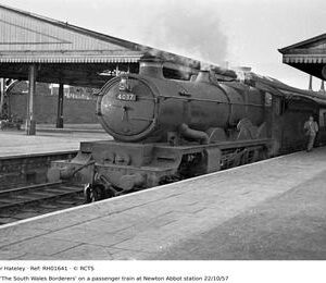 RH01641