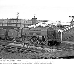 RH01646