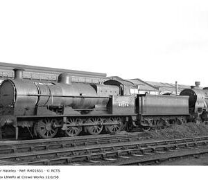 RH01651