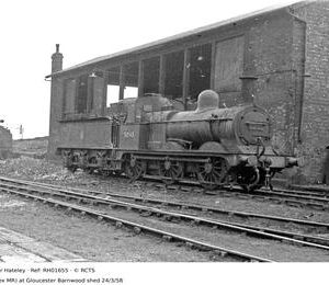 RH01655