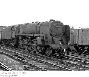 RH01667