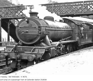 RH01685