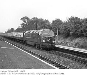 RH01699