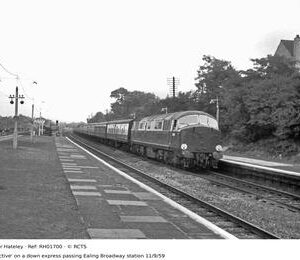 RH01700