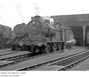 RH01724