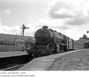 RH01764