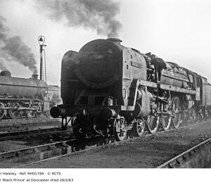RH01799