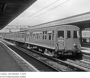 RH01838