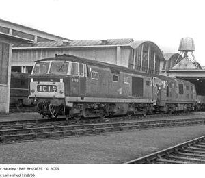 RH01839
