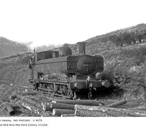 RH01841
