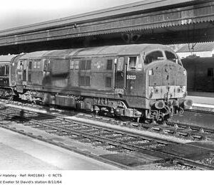 RH01843