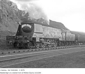 RH01846
