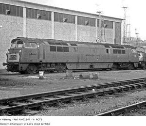 RH01847