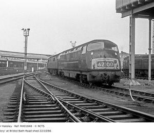 RH01848