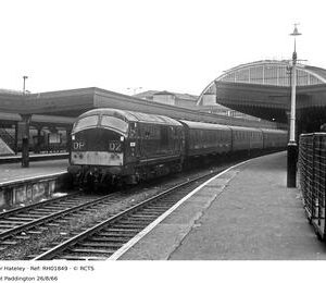 RH01849