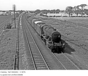 RH01851