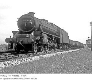 RH01853