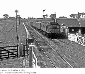 RH01854