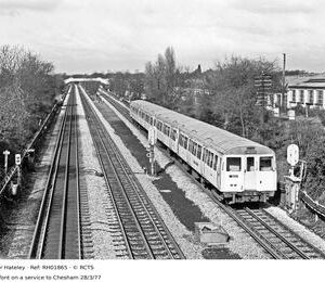 RH01865