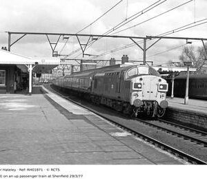 RH01871