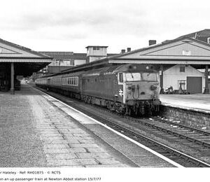 RH01875