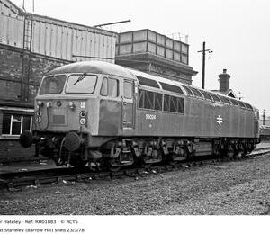 RH01883