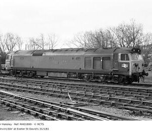 RH01899