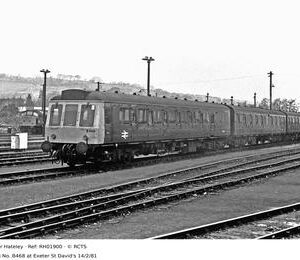 RH01900