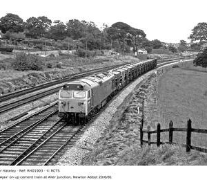 RH01903