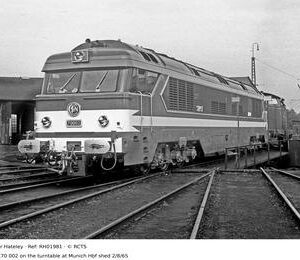 RH01981