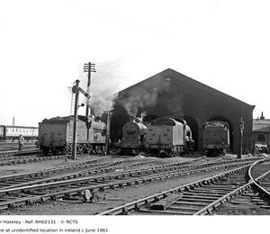 RH02131