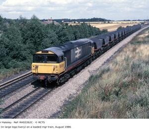 RH02262C