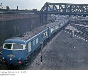 RH02394C