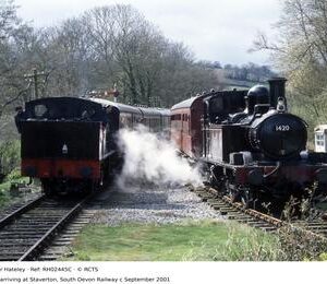 RH02445C