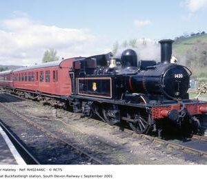 RH02446C