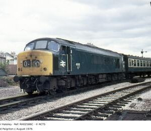 RH02586C