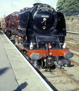 RH02608CVF