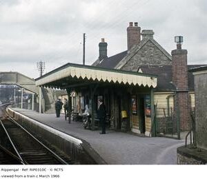 RIP0310C