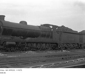 RPP0101