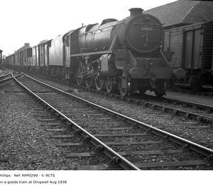 RPP0299