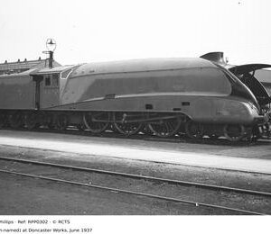 RPP0302