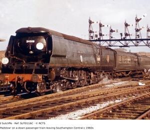SUT0116C