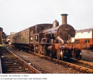 SUT0119C