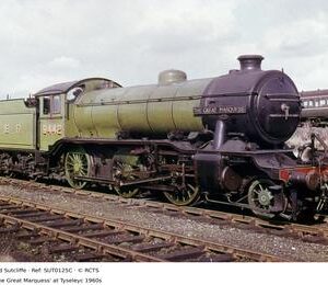 SUT0125C