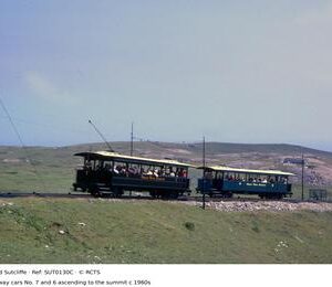 SUT0130C