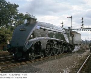 SUT0141C