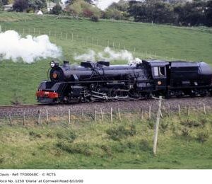 TFD0048C