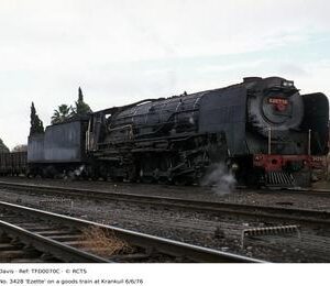 TFD0070C