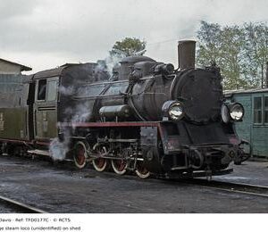 TFD0177C