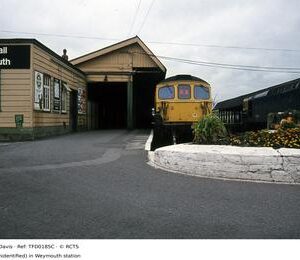 TFD0185C